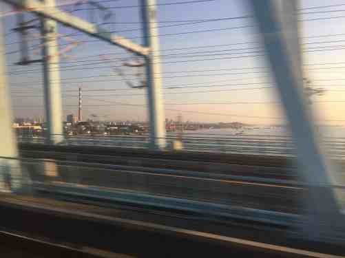 along the road plants and new cities