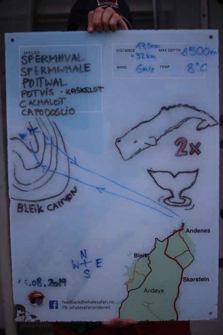 la chasse à la baleine